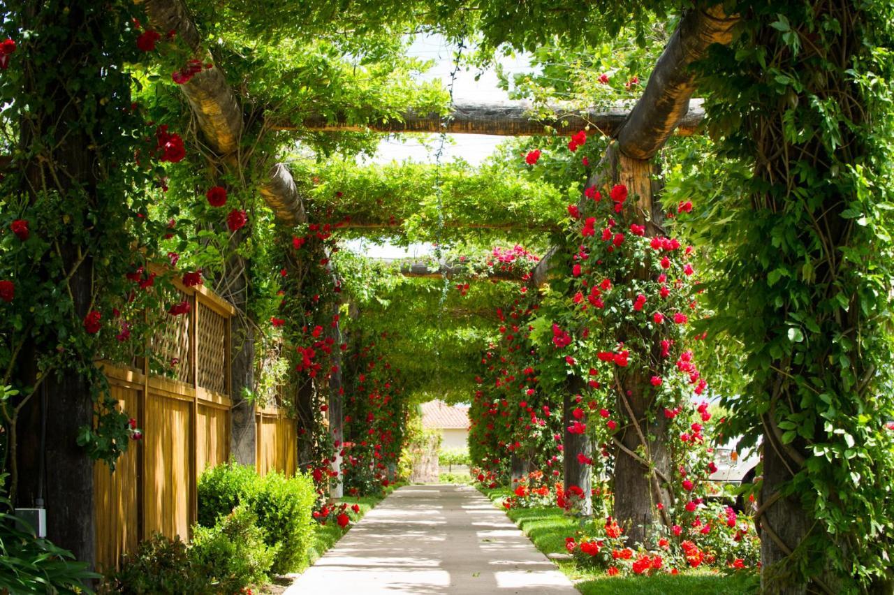 South Coast Winery Resort & Spa Temecula Exterior foto